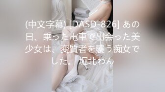 (中文字幕) [DASD-826] あの日、乗った電車で出会った美少女は、変質者を襲う痴女でした。 堀北わん